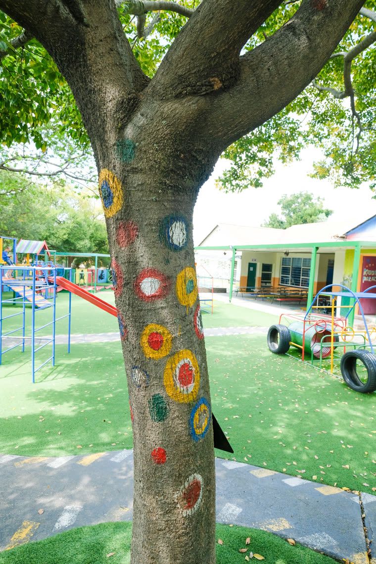 A tree with coloured climbing holds fixed to the trunk, playground equipment beyond